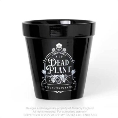 Dead Plant Plant Pot Alchemy England